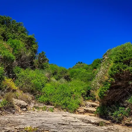 Βίλα Porto Gerakas