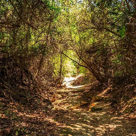 Porto Gerakas فيلة *