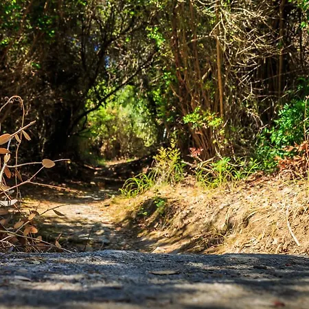 Porto Gerakas Василикос