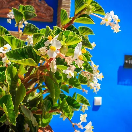 Porto Gerakas Вилла *